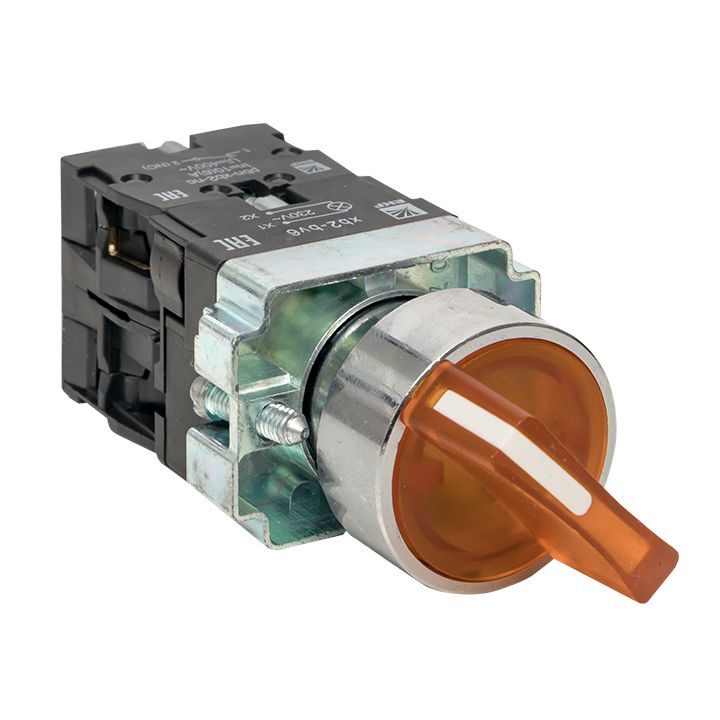 Переключатель кулачковый  xb2-bk21-y-24