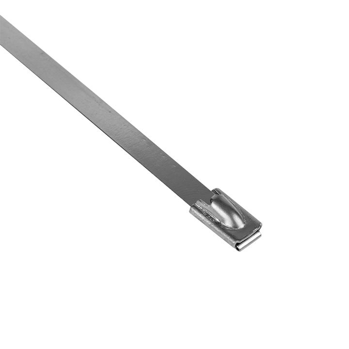 Хомут  plc-fl-tss-304-4.6x200-r