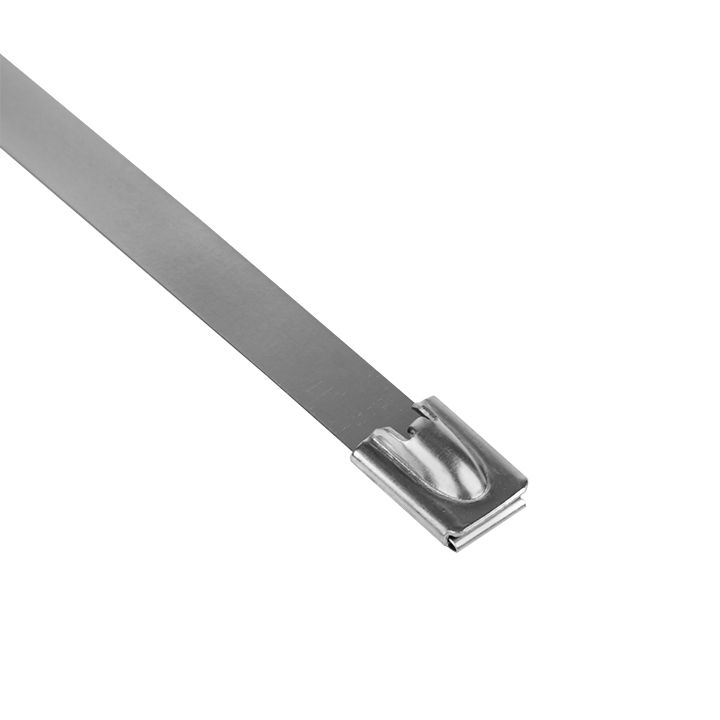 Хомут  plc-fl-tss-304-7.9x200-r