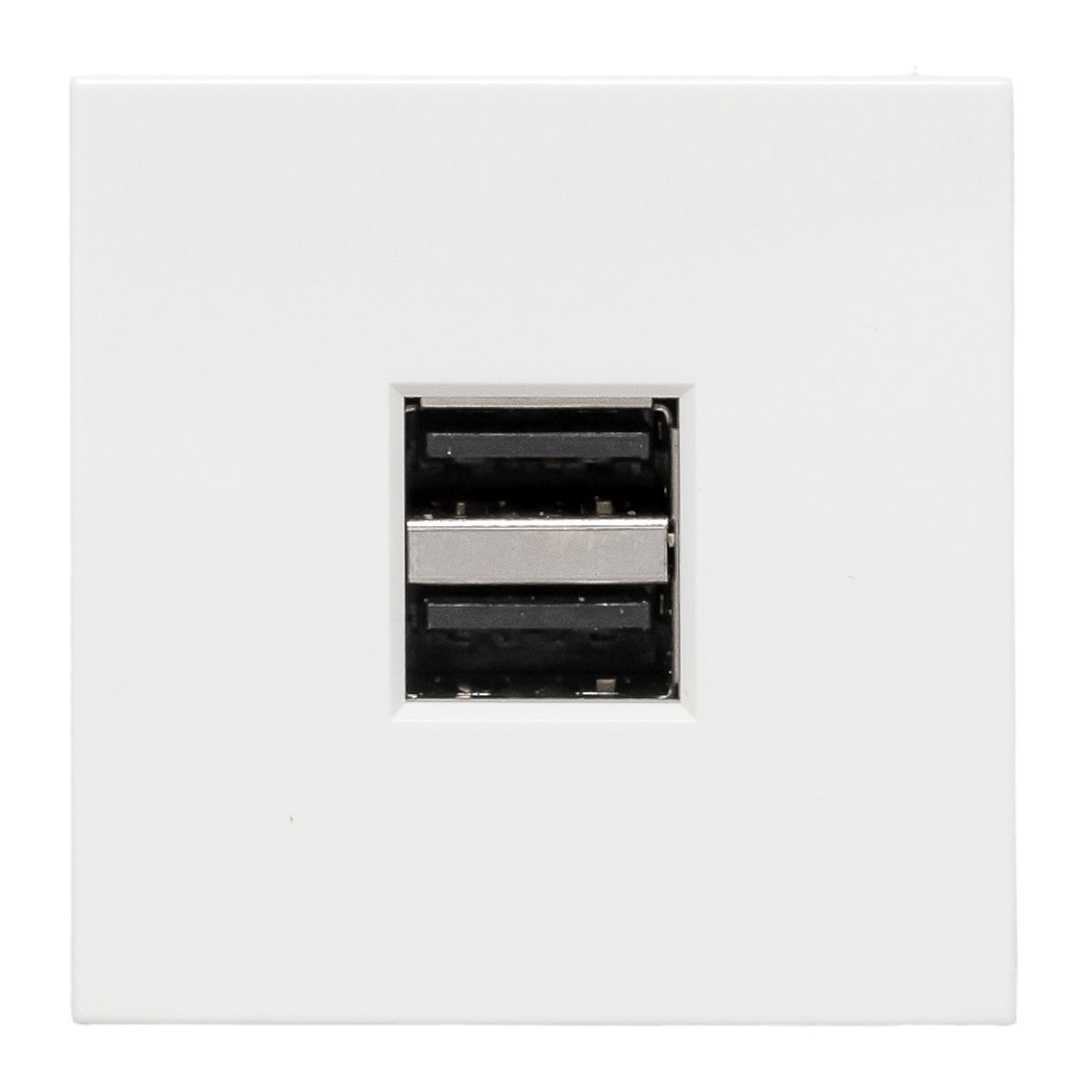 Розетка телекоммуникационная  E2MR2-20USB-10