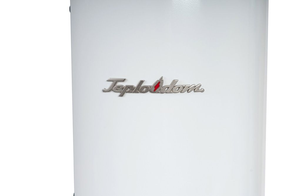 Котел электрический Teplodom i-TRM SILVER StS-6 281