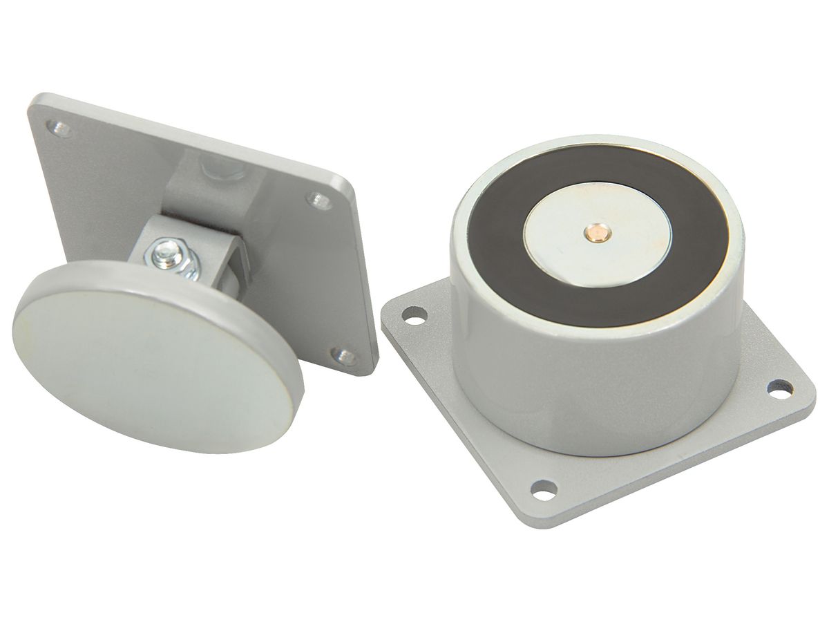 Замок электромагнитный AL-50FC-24V AL000099