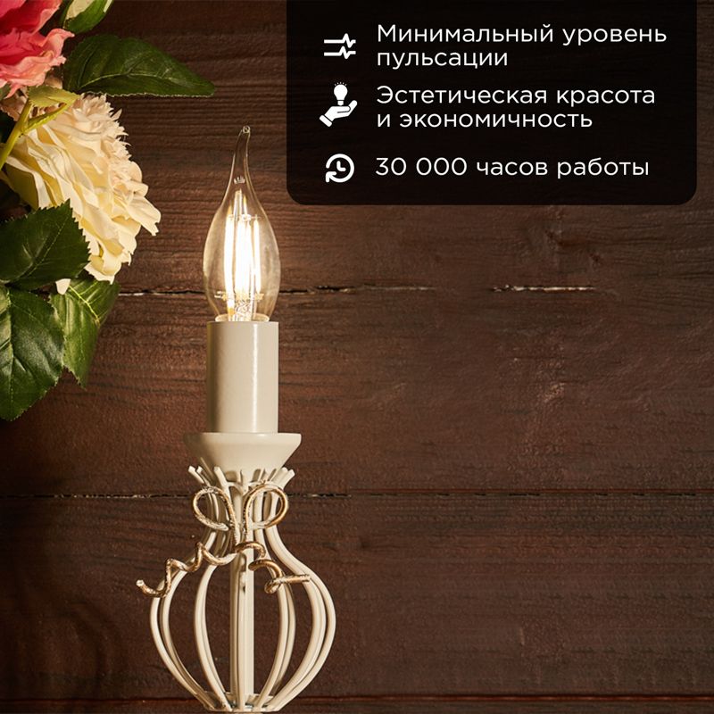 Лампа светодиодная  604-110