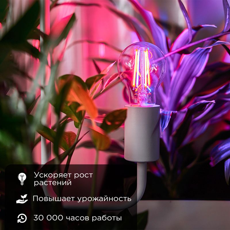 Лампа светодиодная  604-146