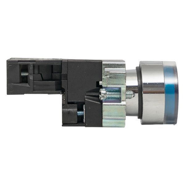 Кнопка  xb2-bw61-24