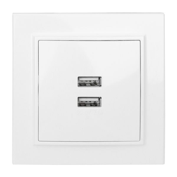 Розетка телекоммуникационная  ERR-2USB-100