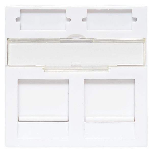 Вставка коммутационная  TRP-INS-MOS-2M2P-WH