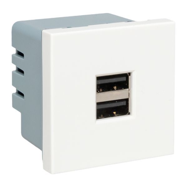Розетка телекоммуникационная  E2MR2-20USB-10