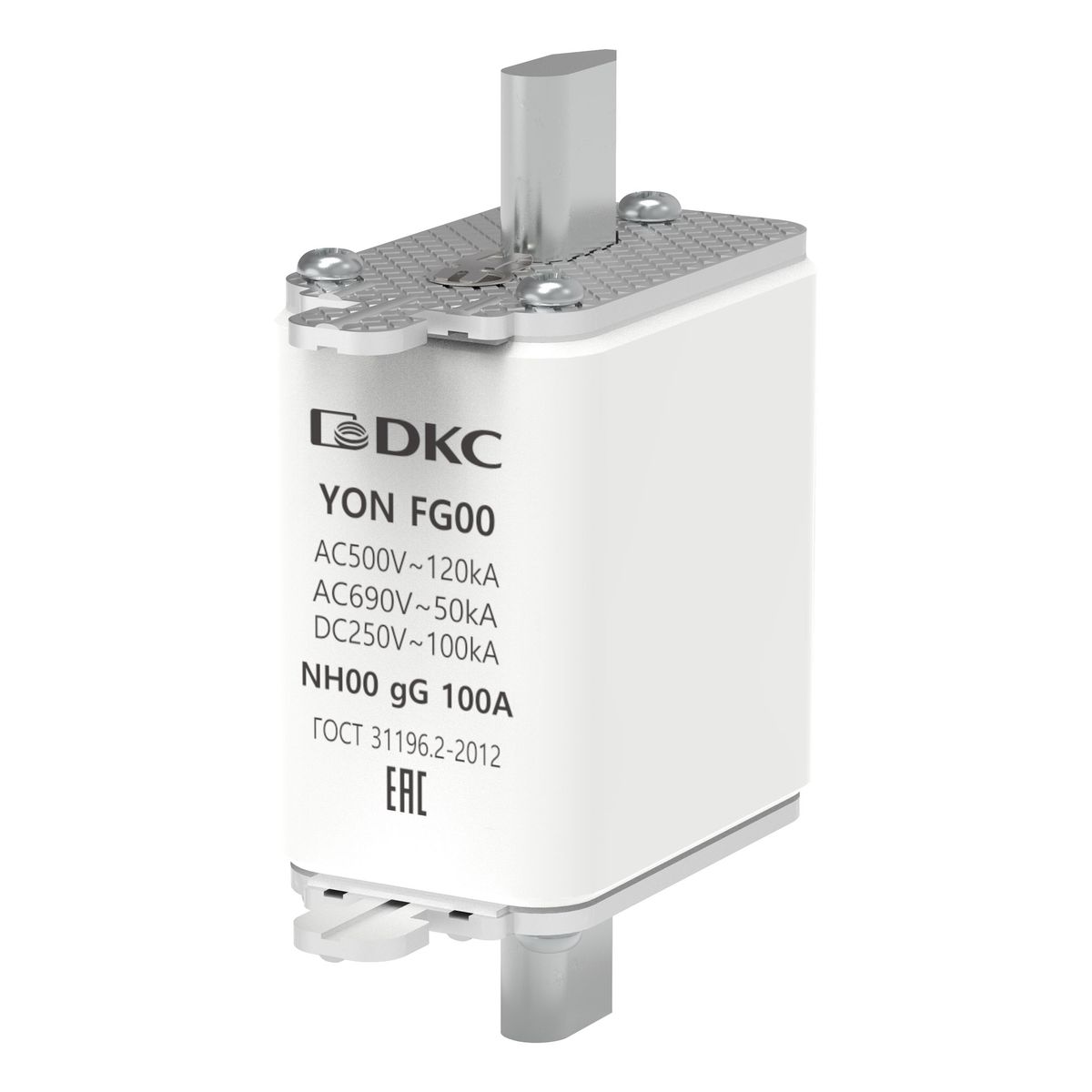 Предохранитель плавкий  1FG00-0100