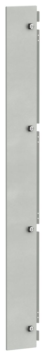 Дверь шкафа  FO-00-DBC-200-020