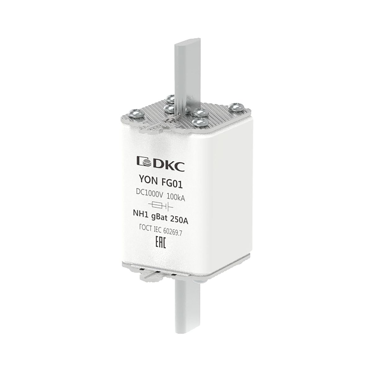 Предохранитель плавкий  1FG01-0250-GBAT