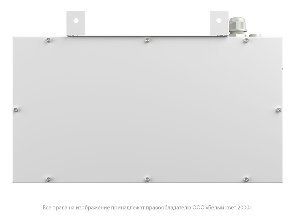 Указатель световой BS-FLAGMAN-10-S1-BSE5 a15672