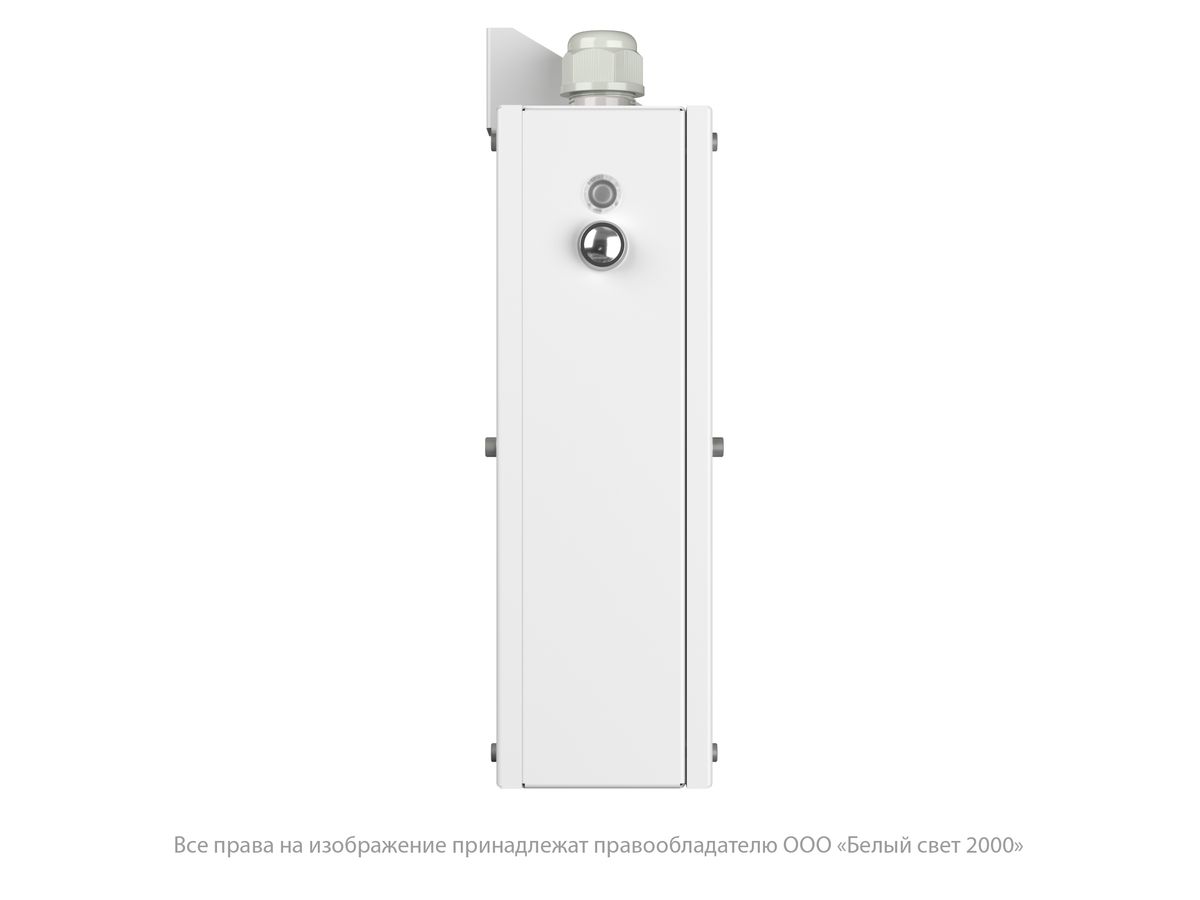 Указатель световой BS-FLAGMAN-10-S1-BSE5 a15672