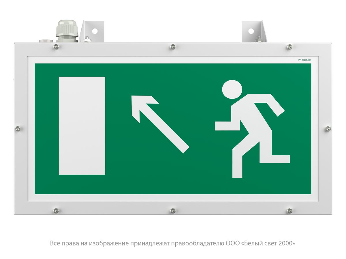 Указатель световой BS-FLAGMAN-10-S1-BSE5 a15672