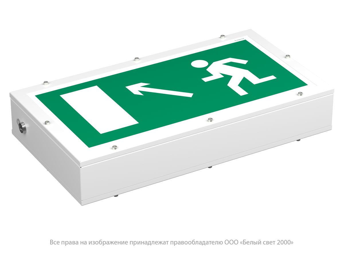 Указатель световой BS-FLAGMAN-10-S1-BSE5 a15672