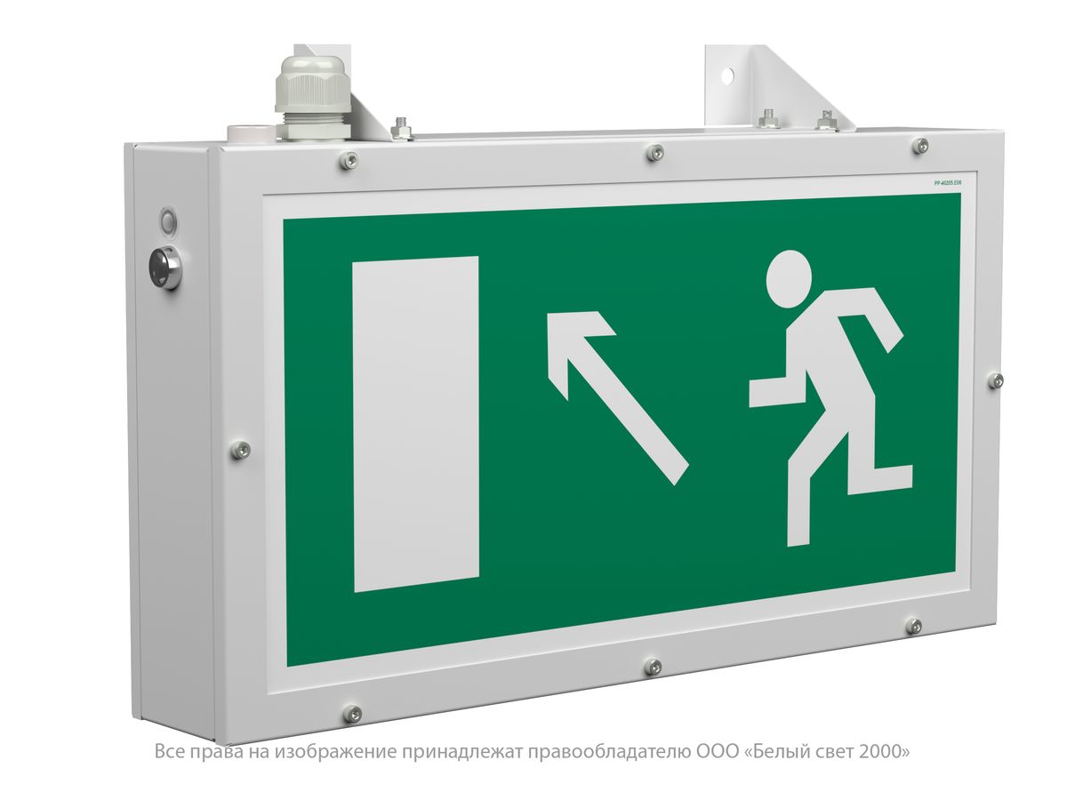 Указатель световой BS-FLAGMAN-10-S1-BSE5 a15672