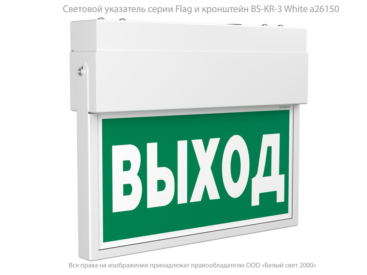 Указатель световой BS-FLAG-10-S1-BSE5 a15616