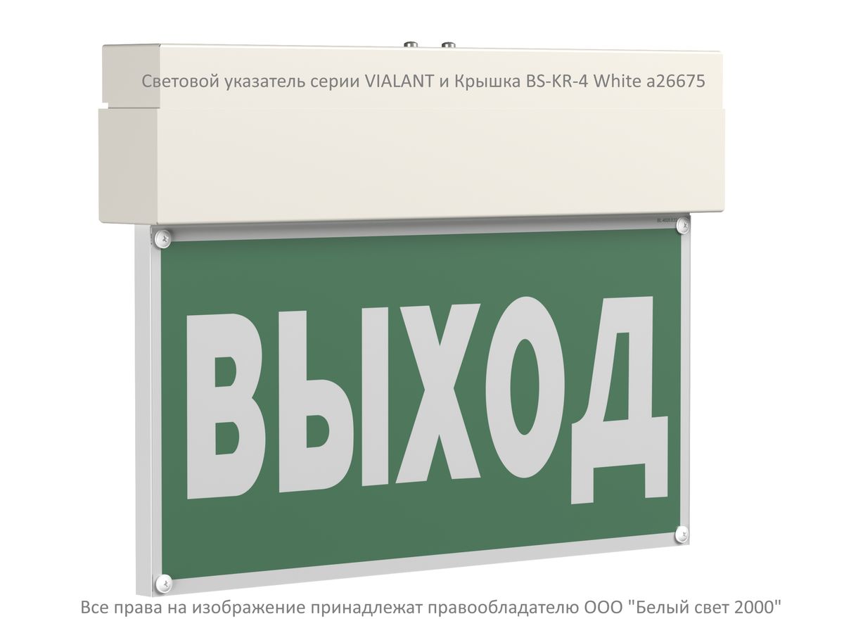 Табло световое BS-VIALANT-10-S1-24 a15630