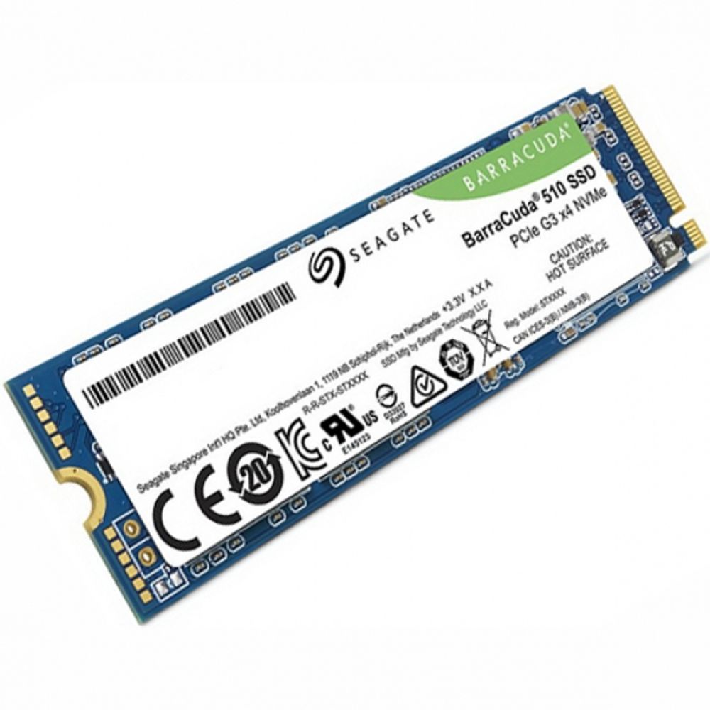 Накопитель данных  ZP250CM3A001