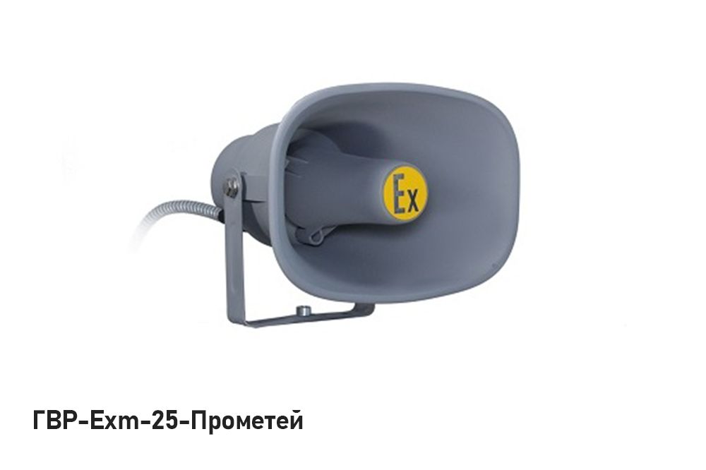Громкоговоритель ГВР-Exm-25-Прометей 01 