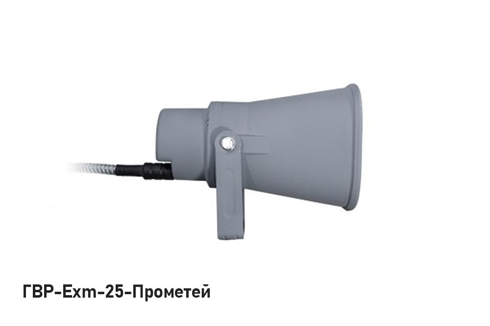 Громкоговоритель ГВР-Exm-25-Прометей 01 