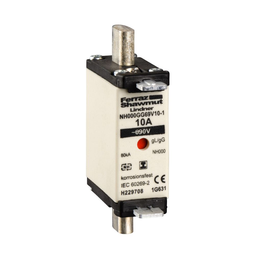 Предохранитель  DF2FGN10