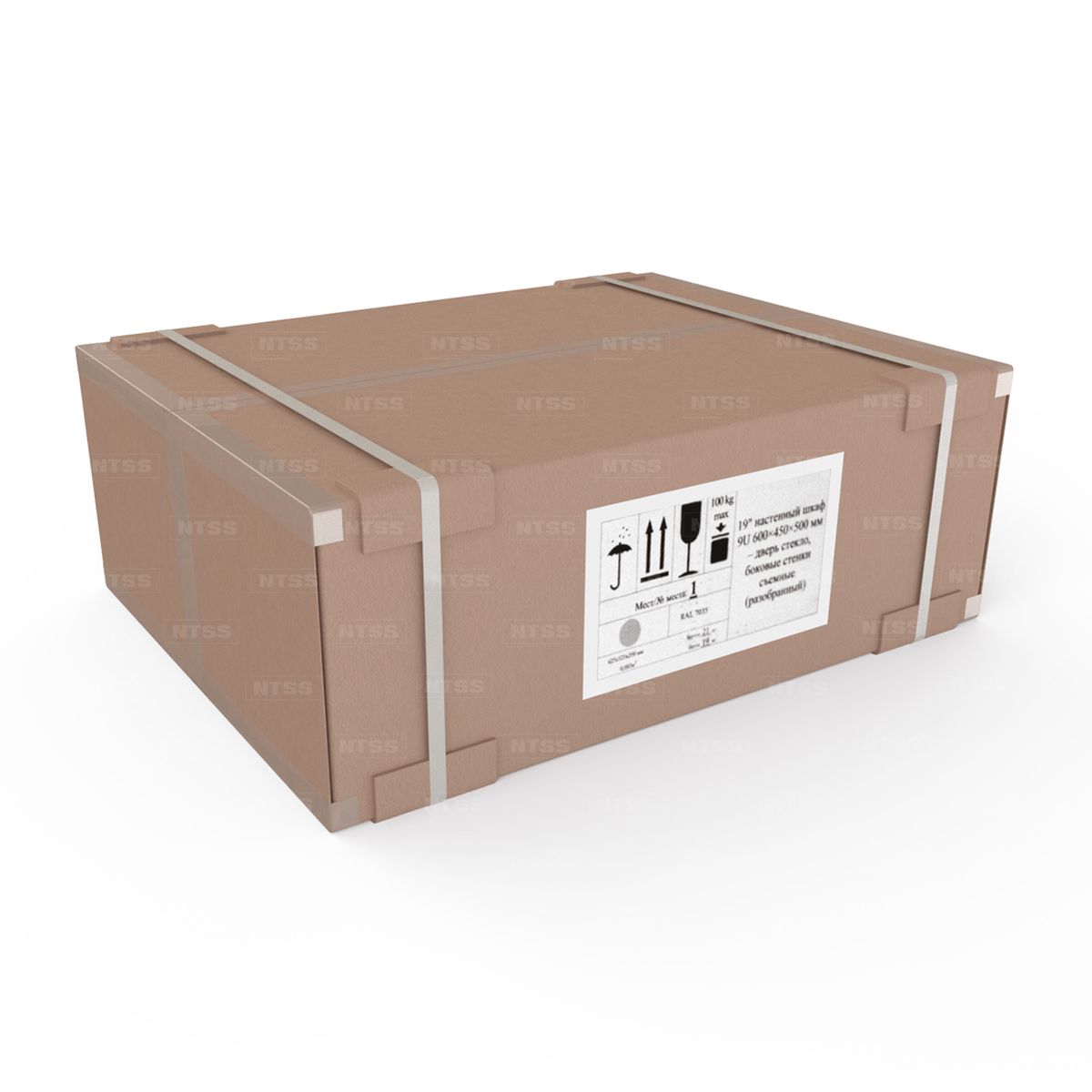Шкаф телекоммуникационный  NTSS-W18U6045GS-2