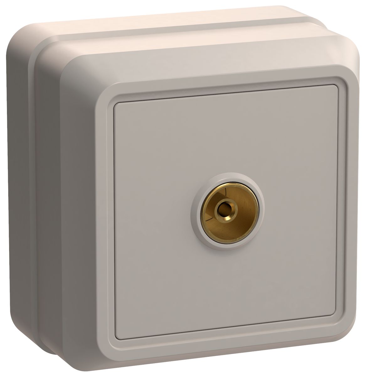 Розетка мультимедийная  EAO10-K33-DC