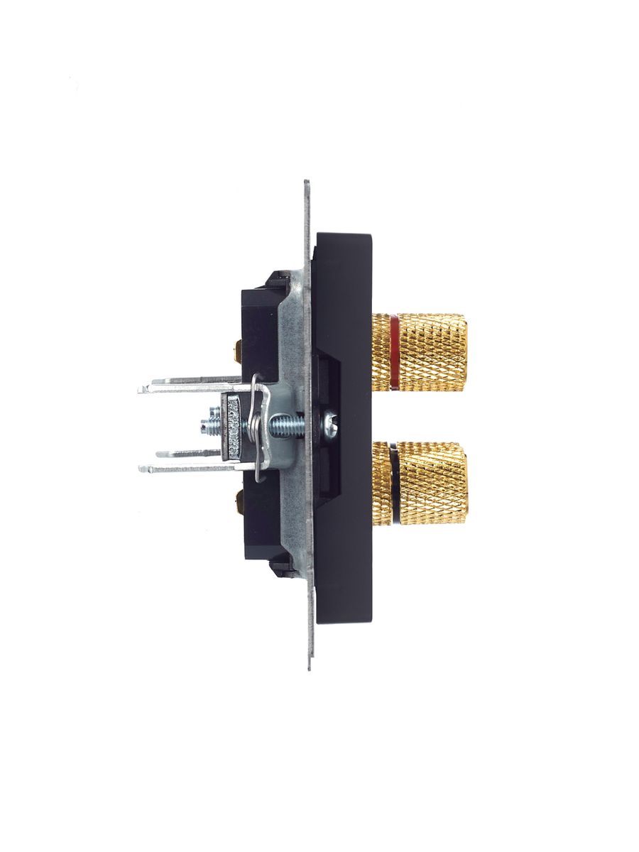 Розетка мультимедийная РА10-БрГ BR-S40-K53