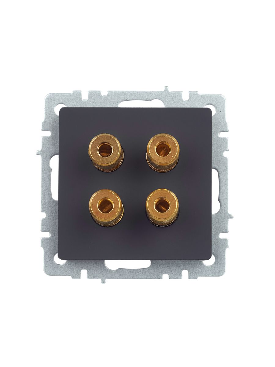 Розетка мультимедийная РА10-БрГ BR-S40-K53