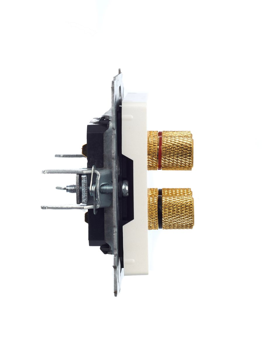 Розетка мультимедийная РА10-БрЖ BR-S40-K36