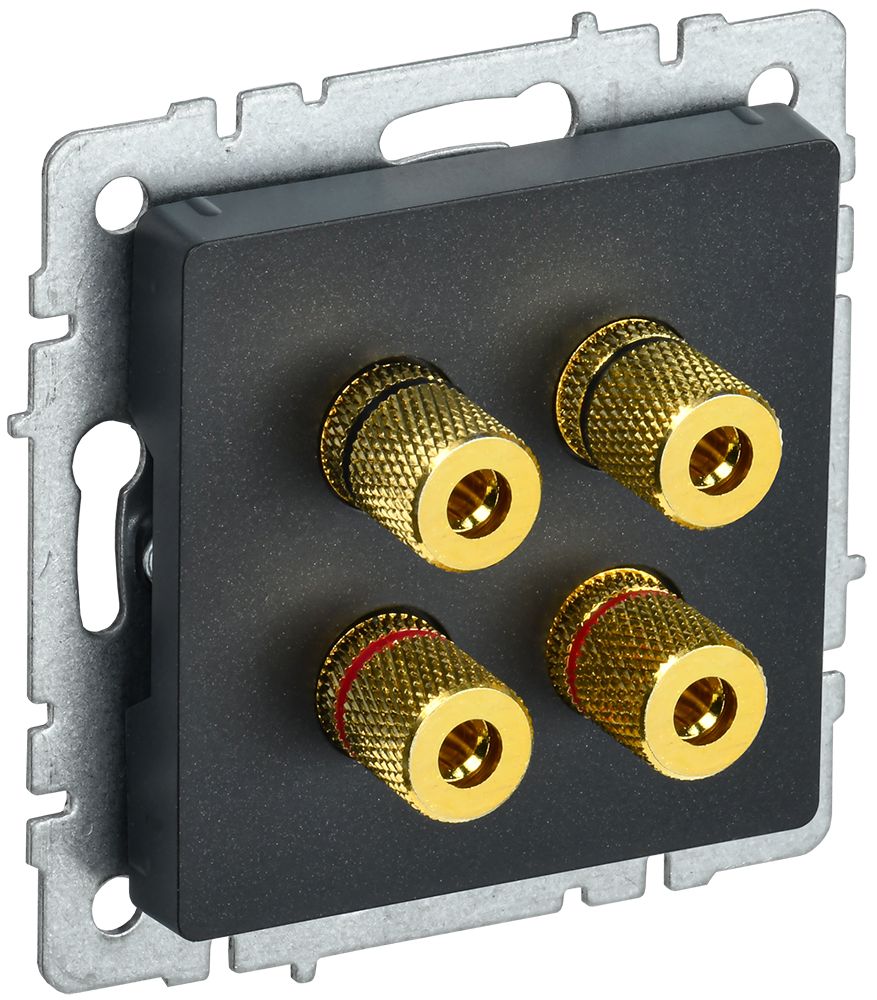 Розетка мультимедийная РА10-БрЧ BR-S40-K02