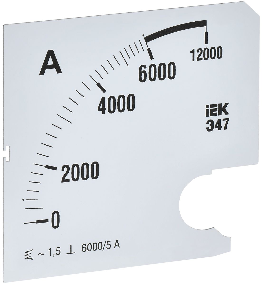 Шкала измерительная  IPA20D-SC-6000