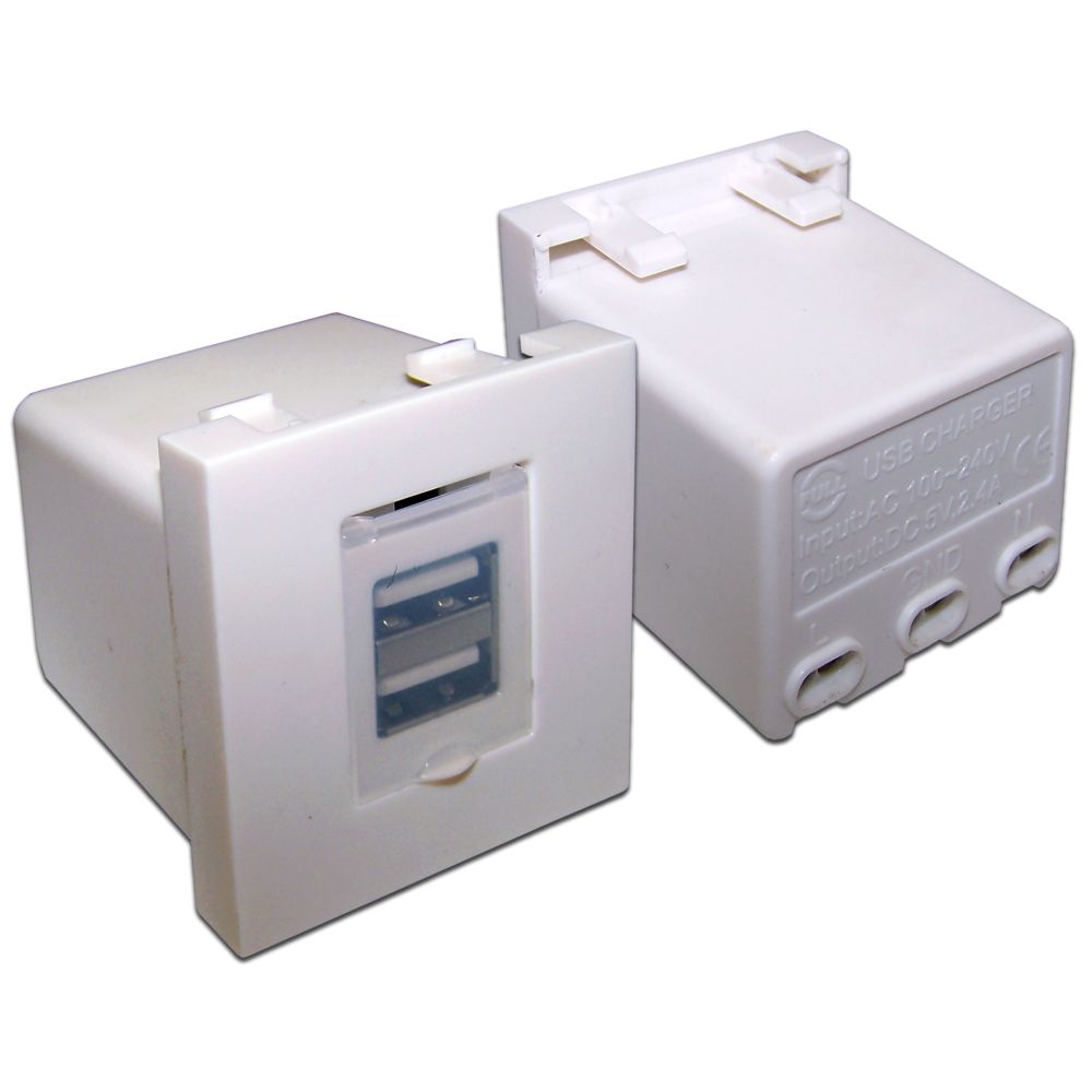 Модуль  LAN-EZ45x45-2xUSB-WH