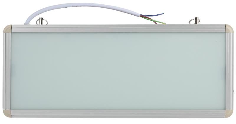 Светильник аварийный SSA-101-0-20 Б0044387
