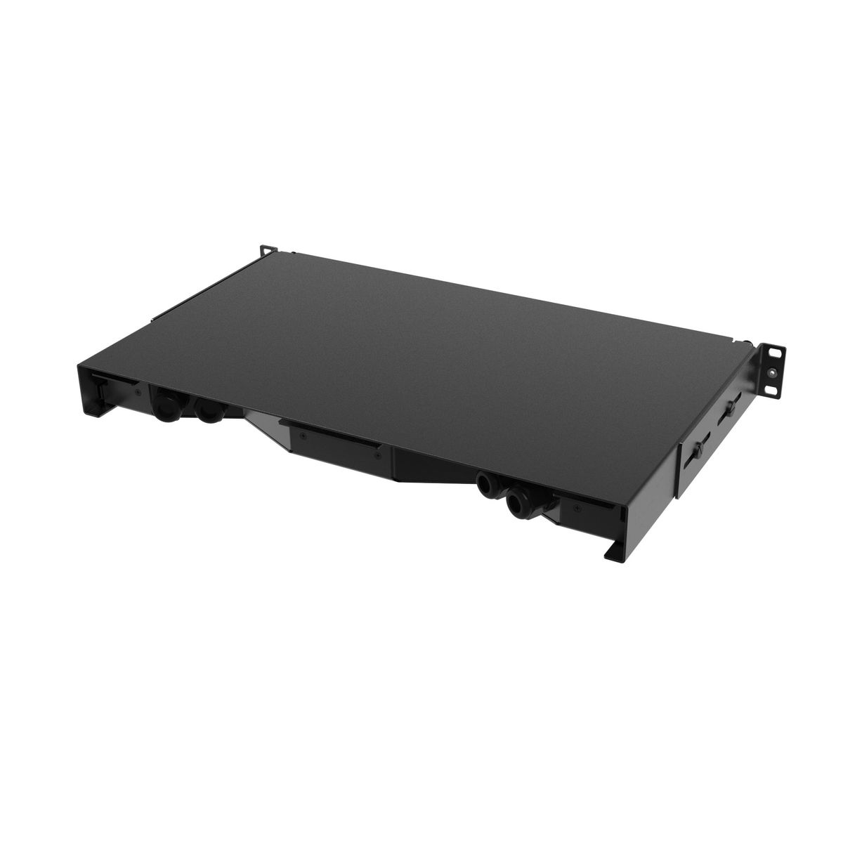 Панель оптическая  RNFP53DSCU12