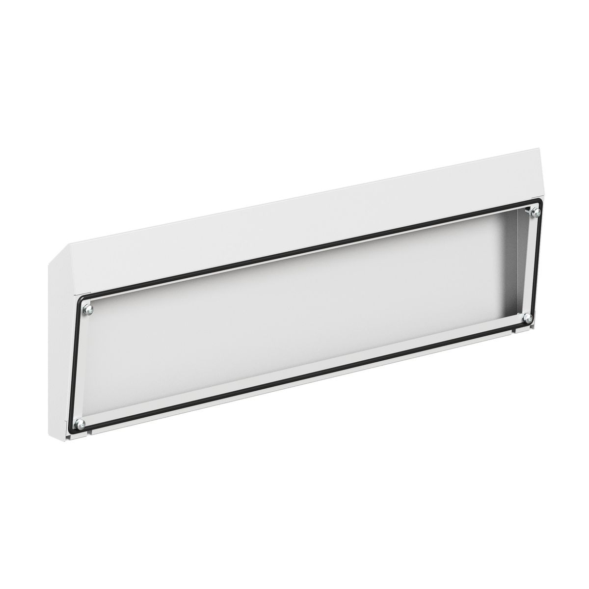 Козырек защитный  R5NTT082