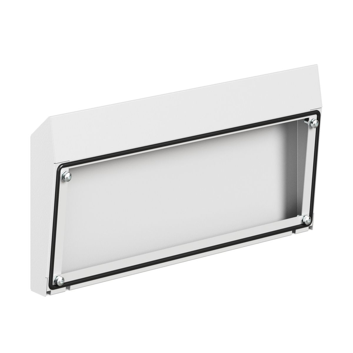 Козырек защитный  R5NTT052