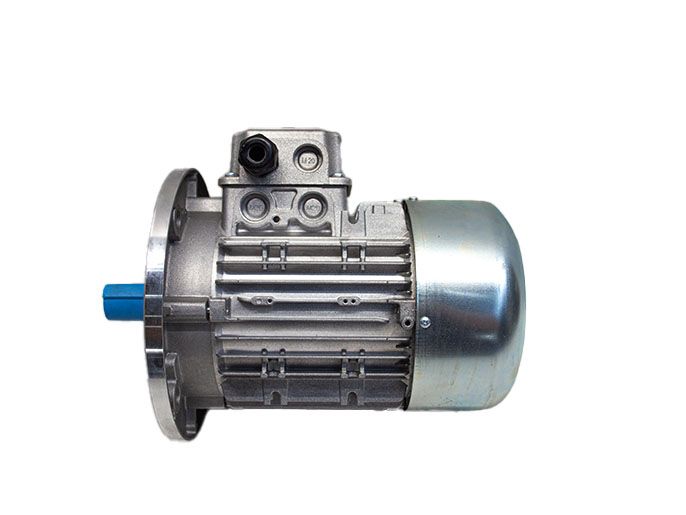 Двигатель  119RIY070