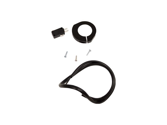 Микровыключатель  119RID093