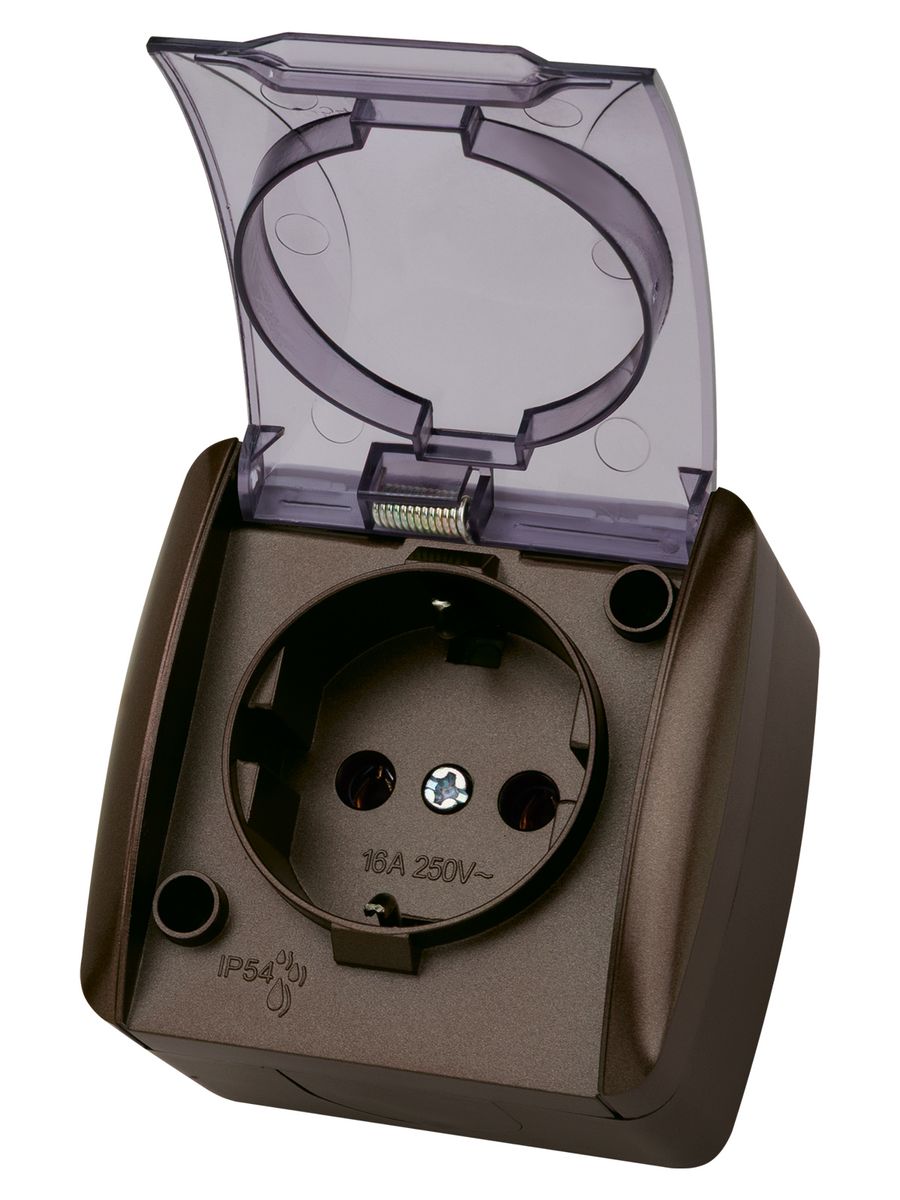 Розетка силовая  SQ1818-0207