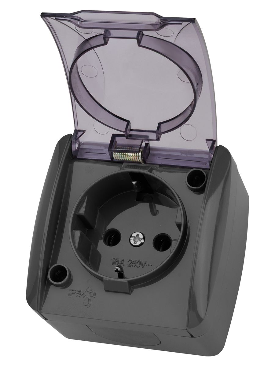 Розетка силовая  SQ1818-0107