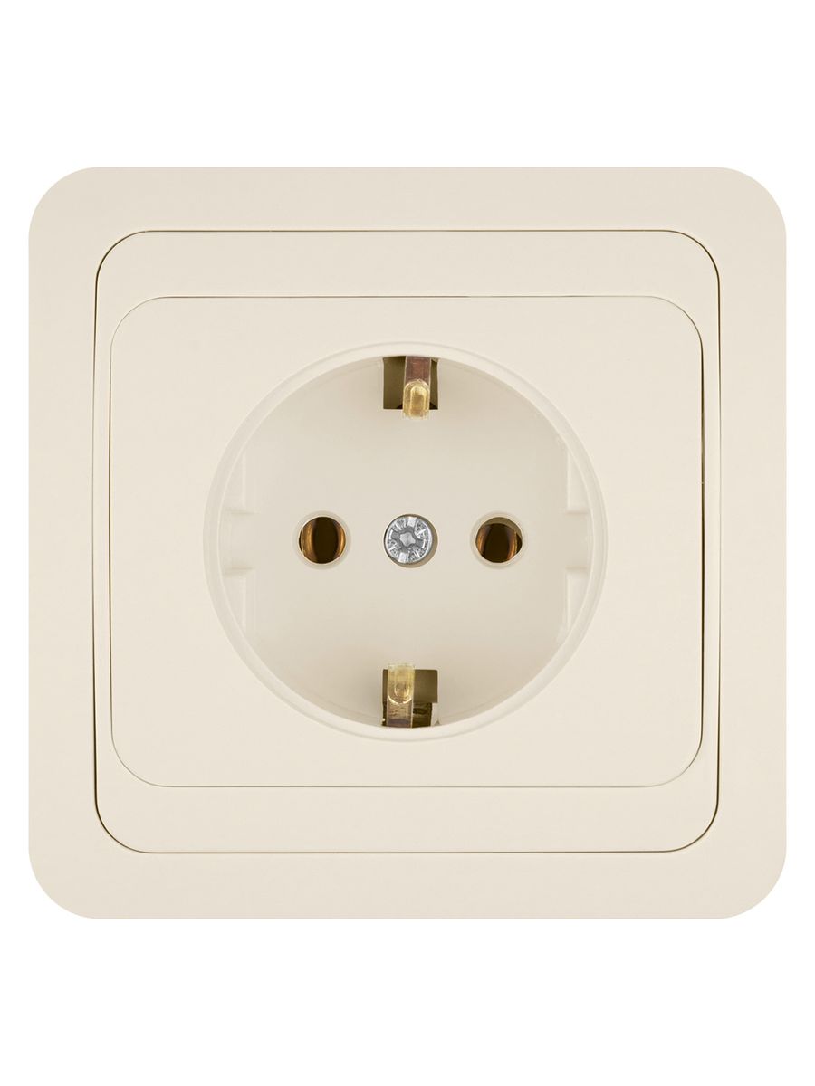 Розетка силовая  SQ1804-0108