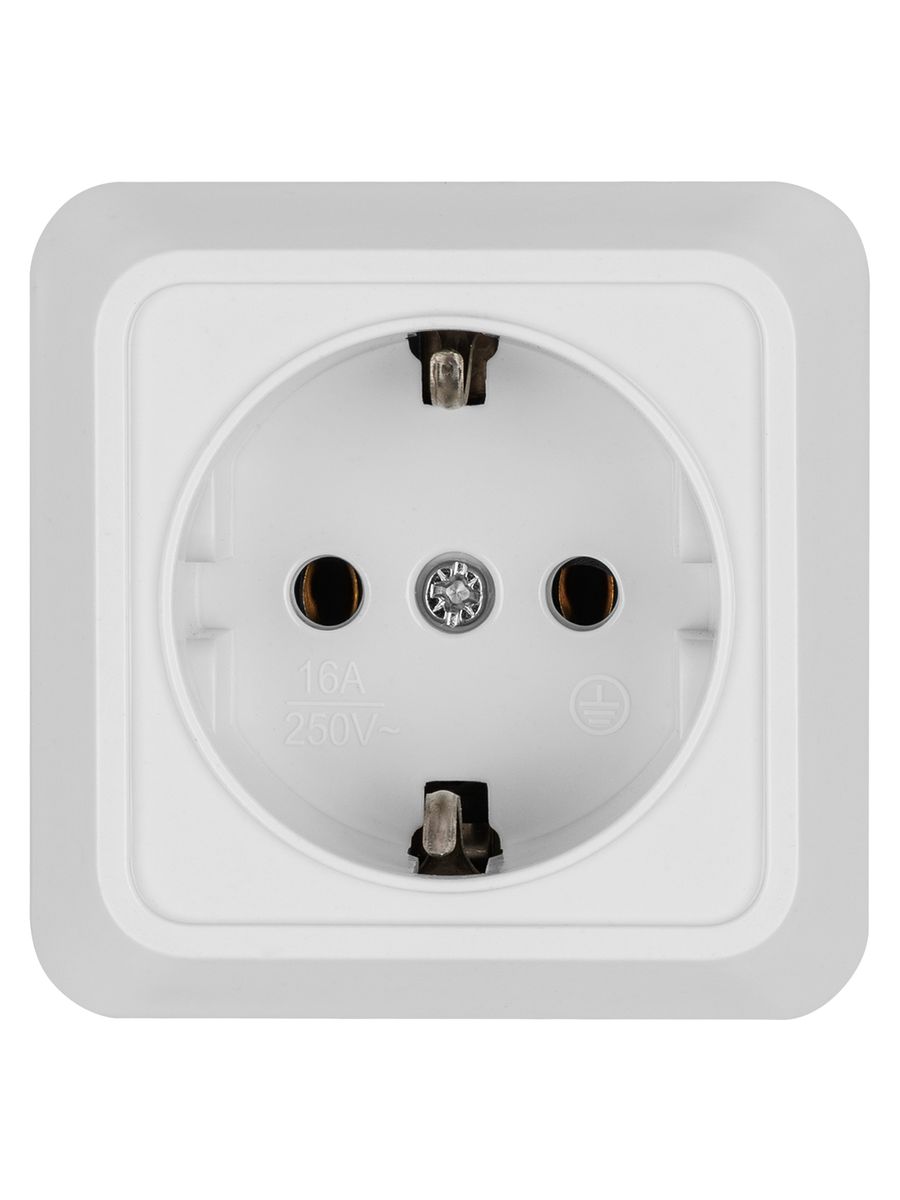 Розетка силовая  SQ1801-0111