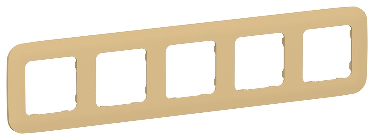 Рамка электроустановочная  FI-M52-31-20-K89