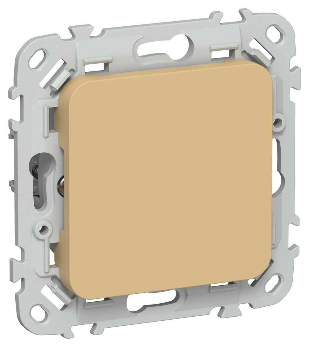 Заглушка розетки  FI-PL10-K89