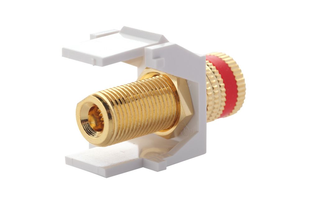 Модуль сетевой  16B-BP-04WT