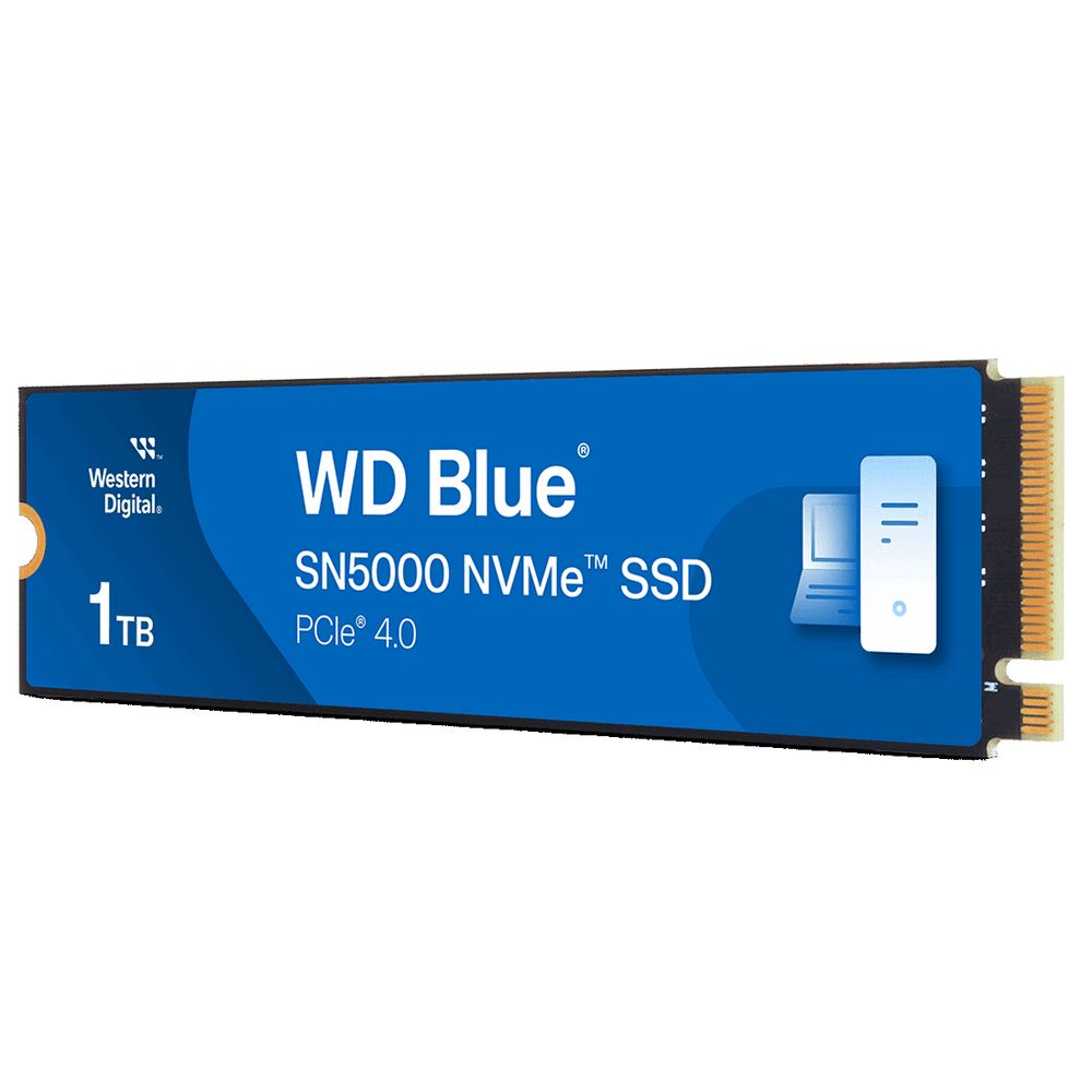 Накопитель данных  WDS100T4B0E