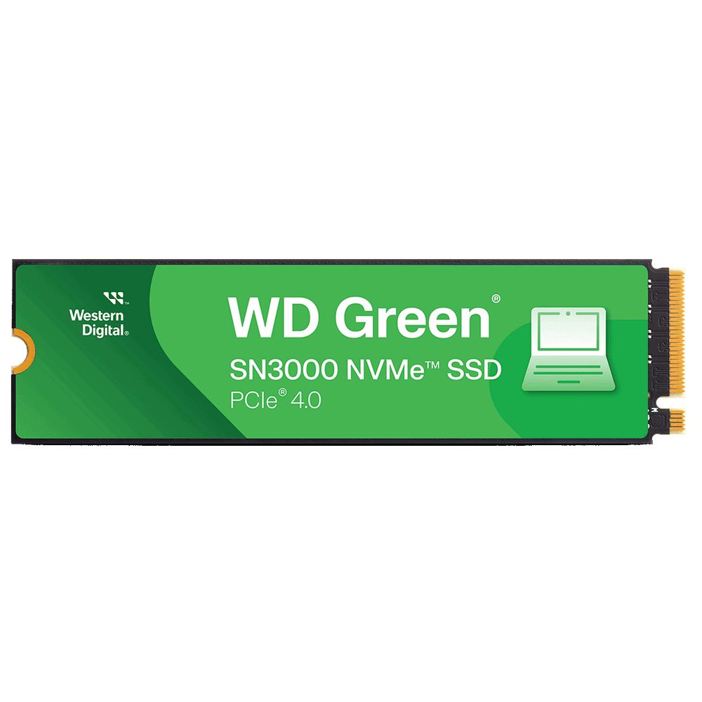 Накопитель данных  WDS100T4G0E