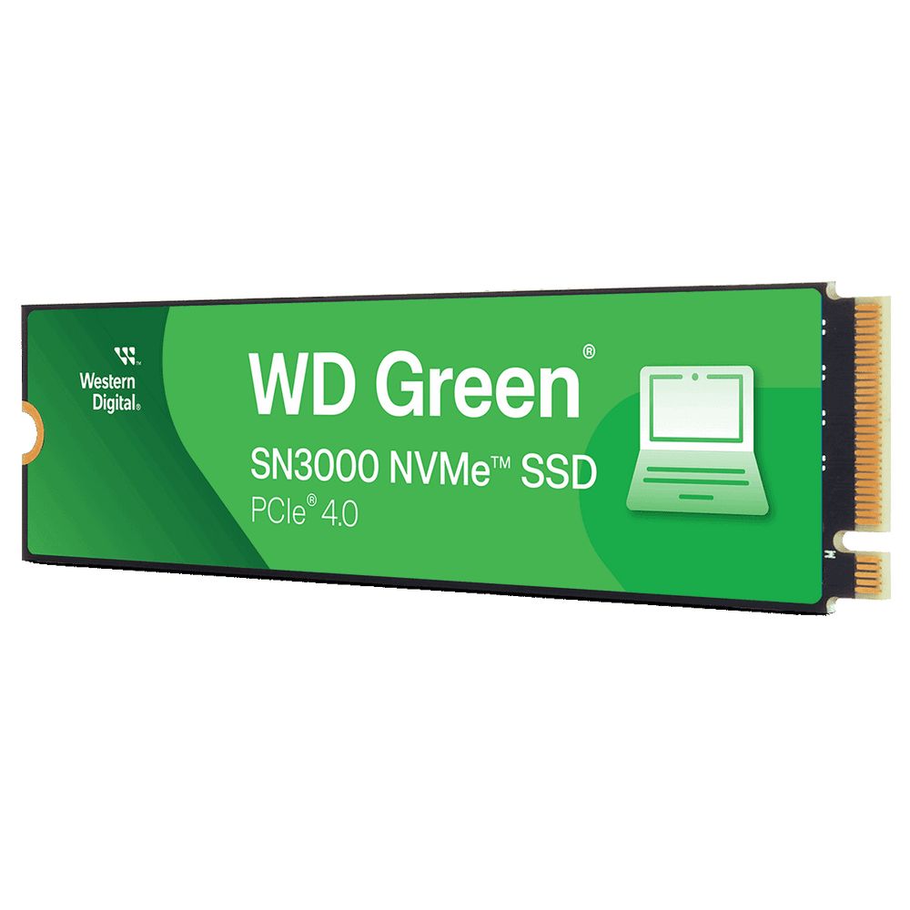 Накопитель данных  WDS100T4G0E